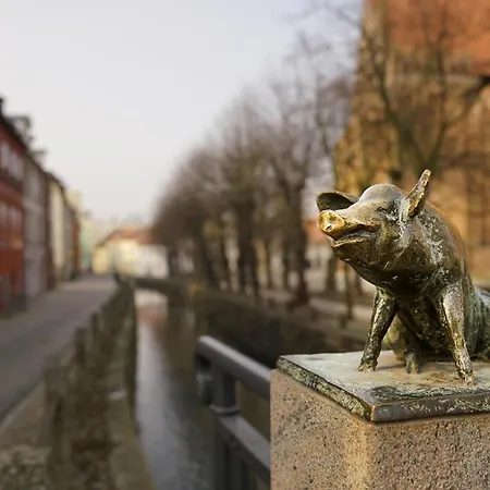 Gelbe Katze - Abc600 - Nur Feriengaeste! Apartmán *