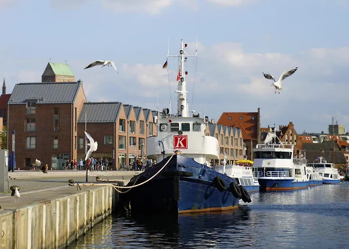 Gelbe Katze - Abc600 - Nur Feriengaeste! Apartman