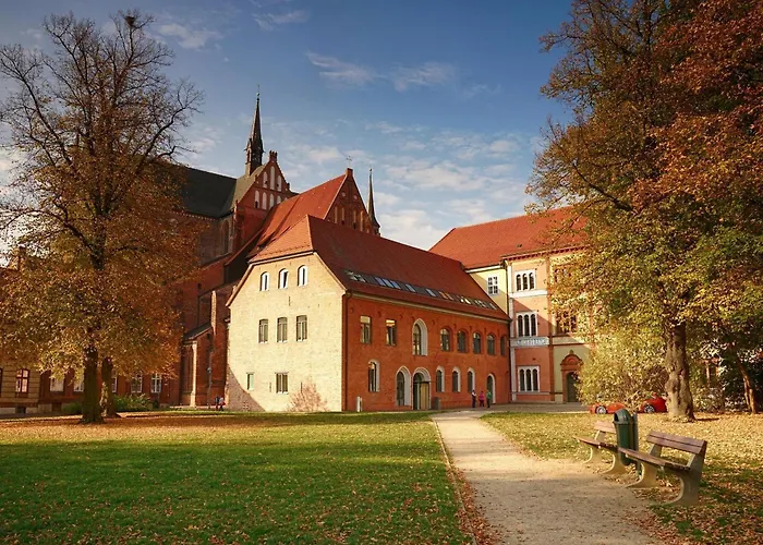 Gelbe Katze - Abc600 - Nur Feriengaeste! Wißmar